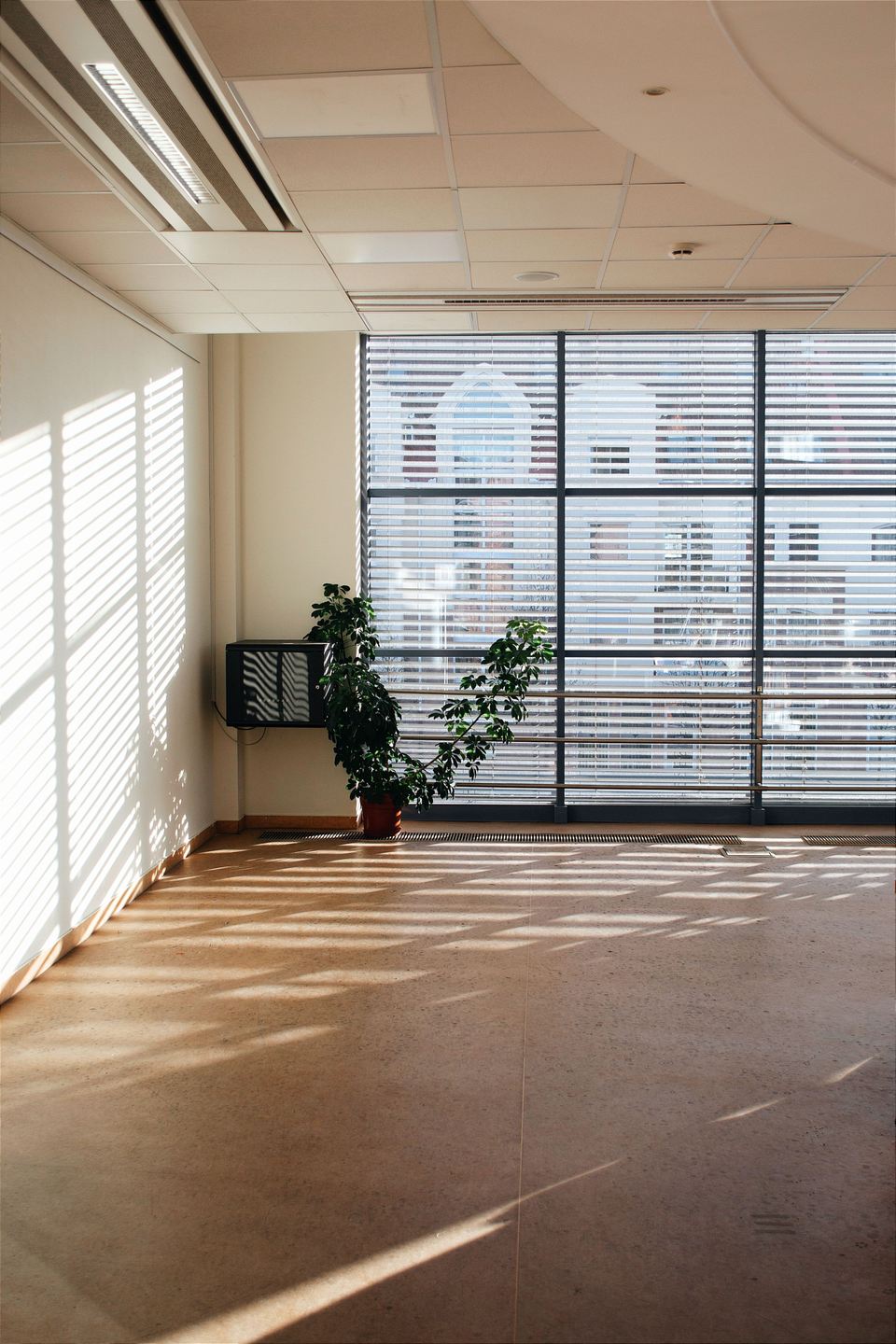 Plateau de bureau vide, lumière de stores sur le sol et plante verte