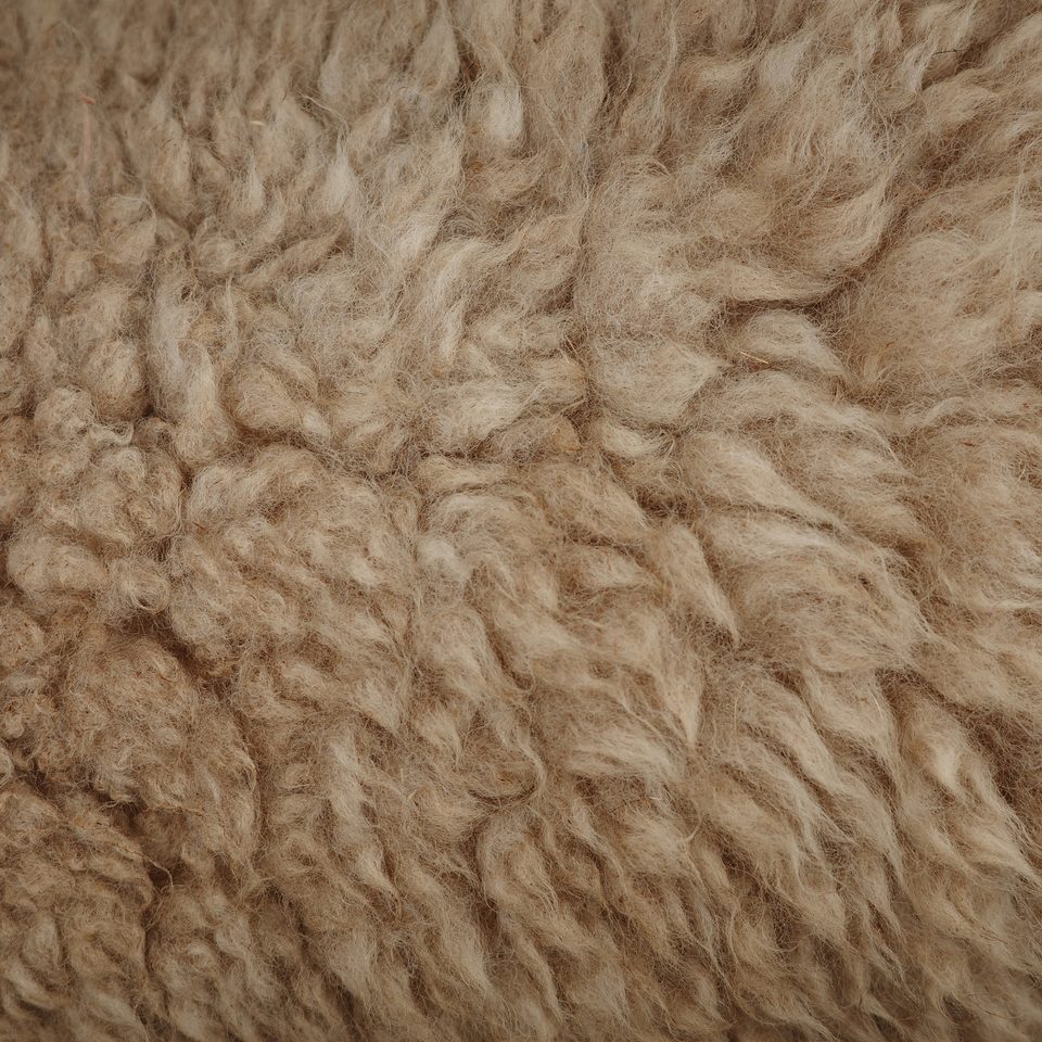 Laine bouclée beige, en gros plan